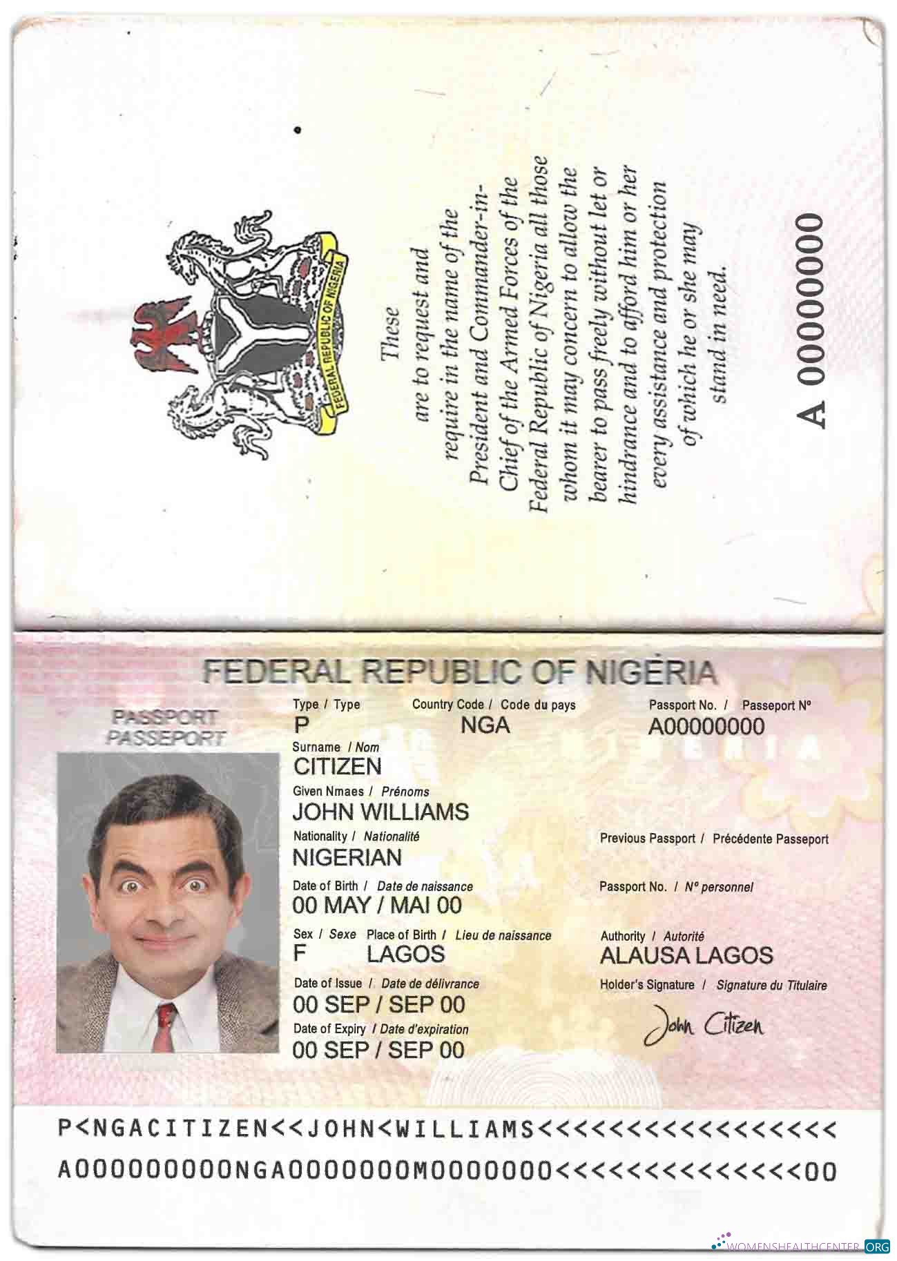 Download Nigeria passport (2007 2019) Photoshop template